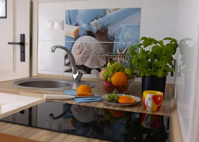 Gwiazda Morska Karwieńskie Błoto